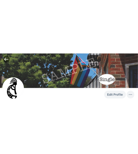 Screenshot of a Bluesky profile with LGBTQ+ Pride set as the banner/cover photo.