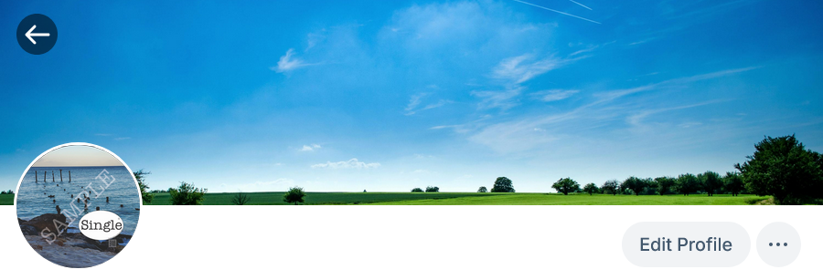 Screenshot of profile photo in use
