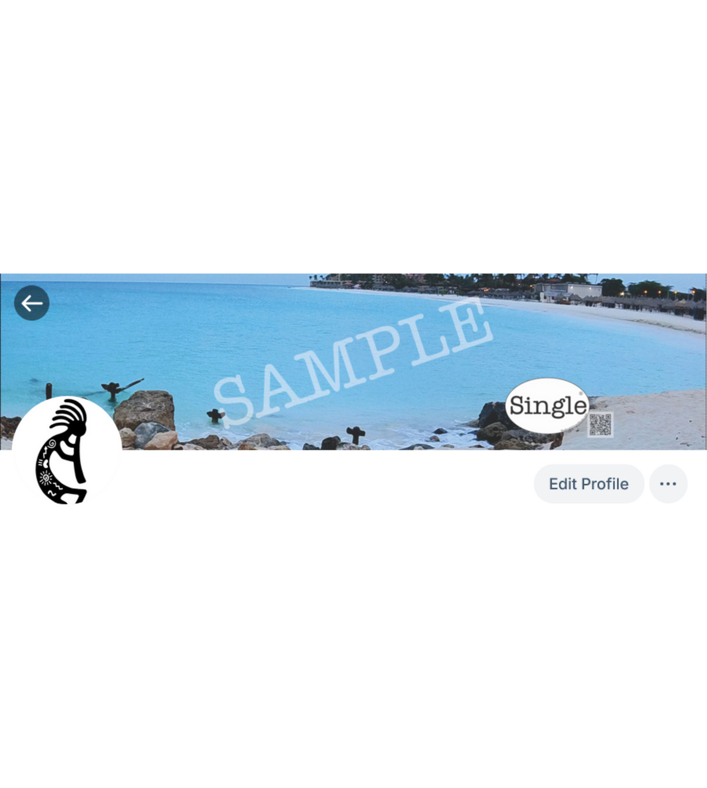 Screenshot of a Bluesky profile with Beach Morning Walk set as the banner/cover photo.