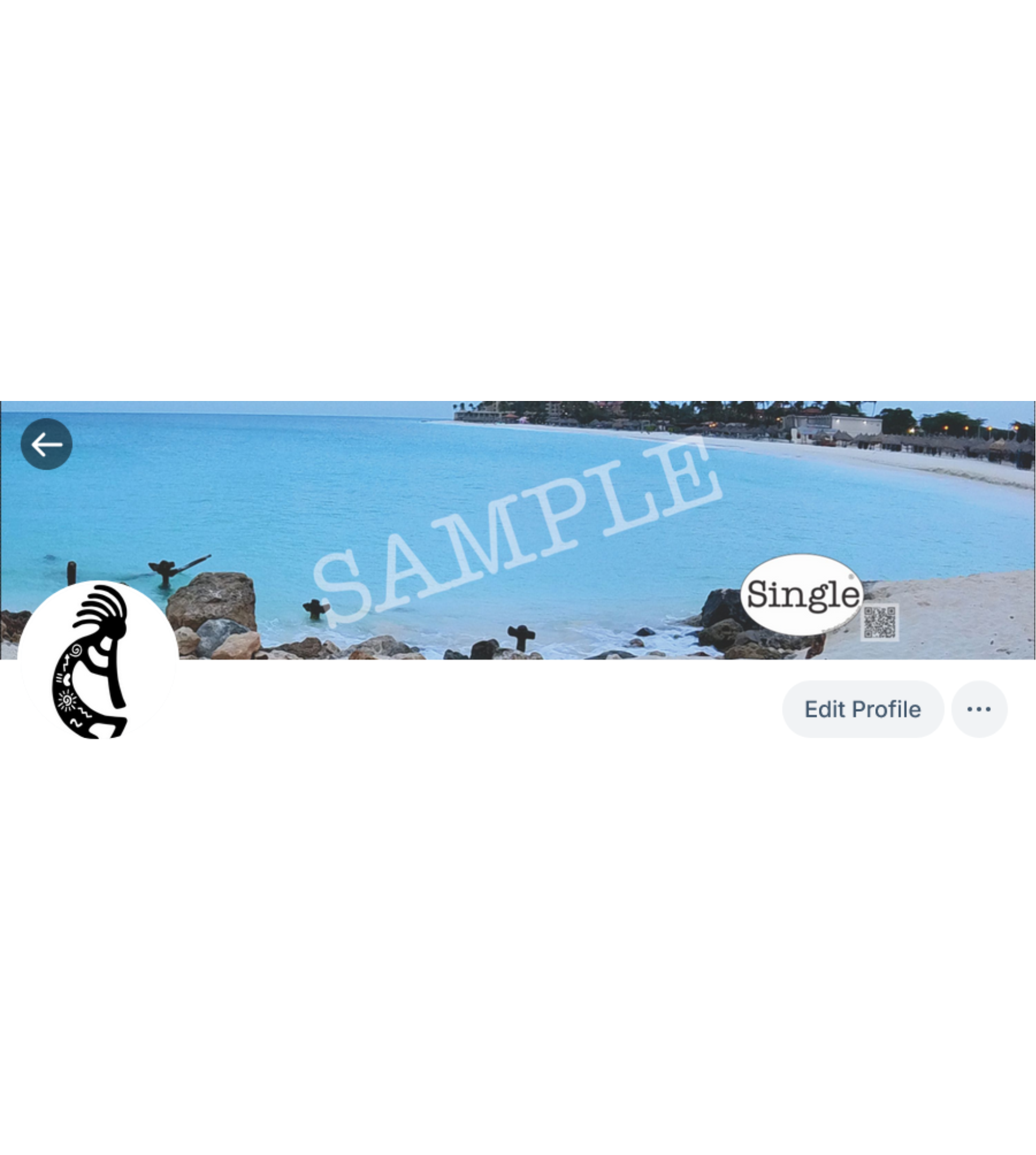 Screenshot of a Bluesky profile with Beach Morning Walk set as the banner/cover photo.