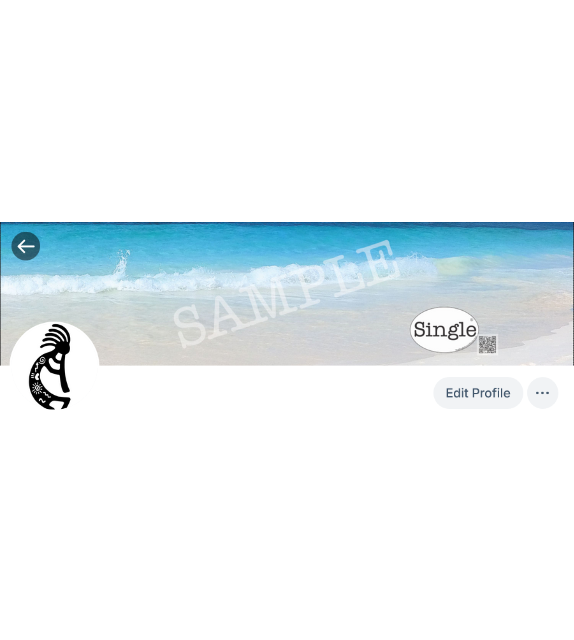 Screenshot of a Bluesky profile with Beach Waves set as the banner/cover photo.