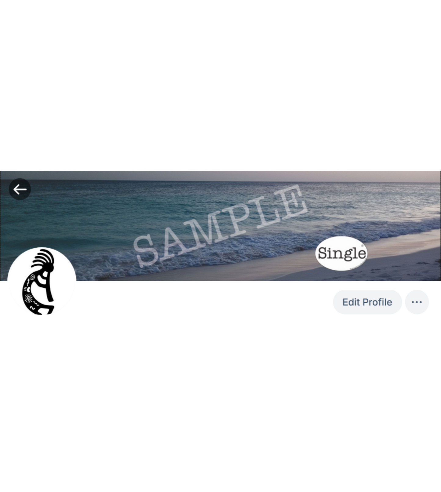 Screenshot of a Bluesky profile with Beach Sunset Walk set as the banner/cover photo.