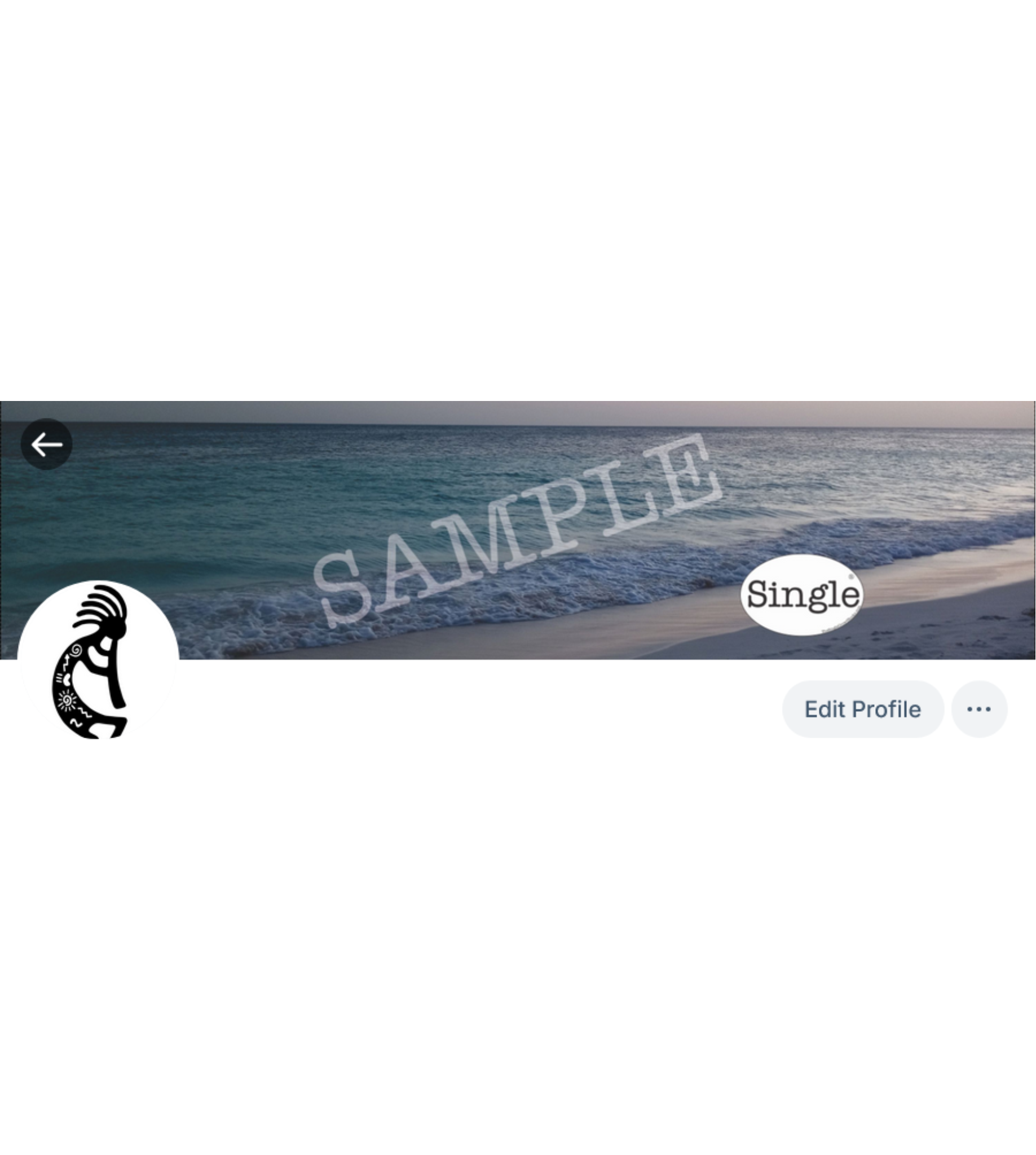 Screenshot of a Bluesky profile with Beach Sunset Walk set as the banner/cover photo.