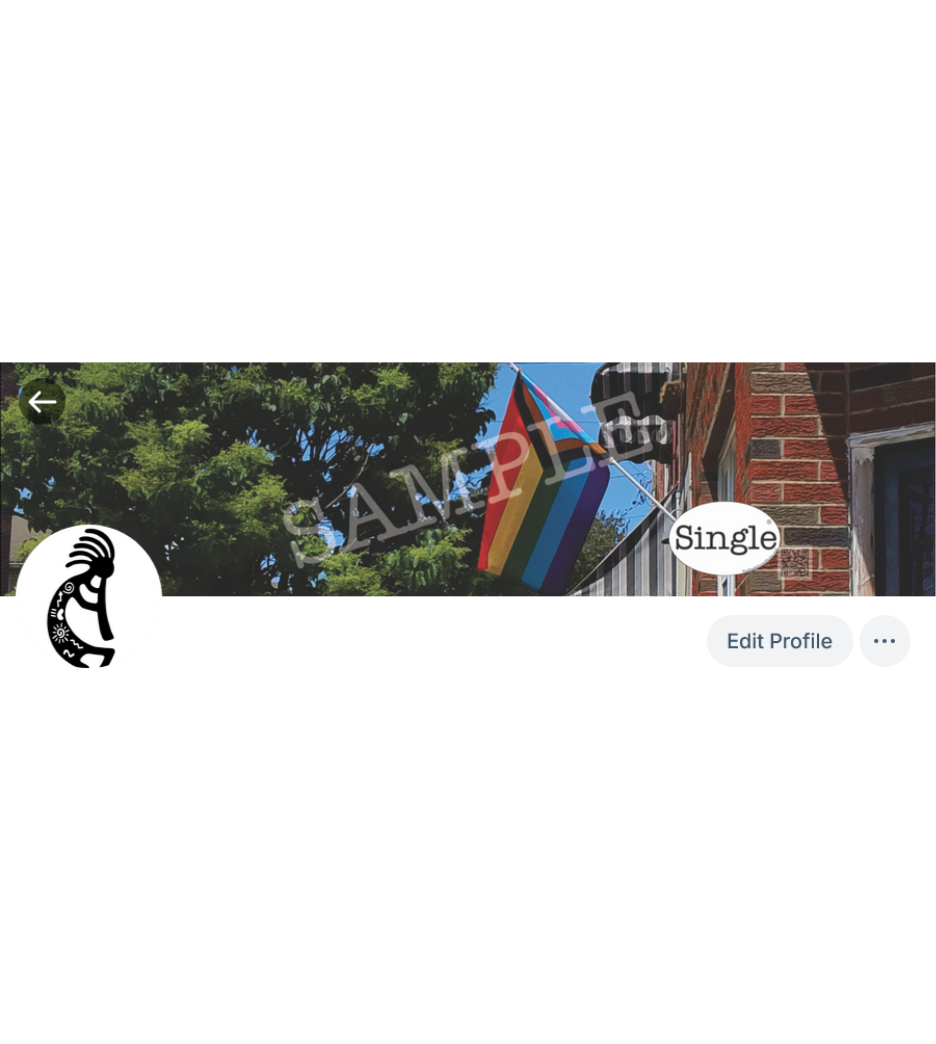 Screenshot of a Bluesky profile with LGBTQ+ Pride set as the banner/cover photo.