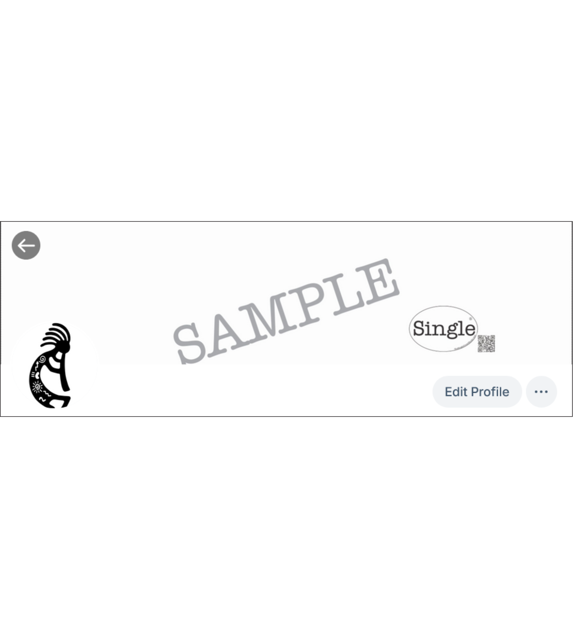 Screenshot of a Bluesky profile with the “Single®” Logo set as the banner/cover photo.