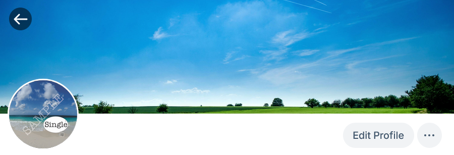Screenshot of profile photo in use