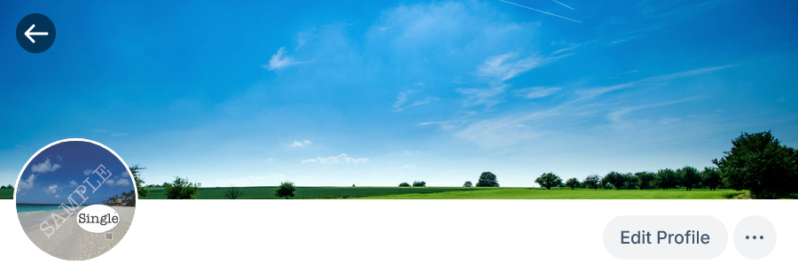 Screenshot of profile photo in use
