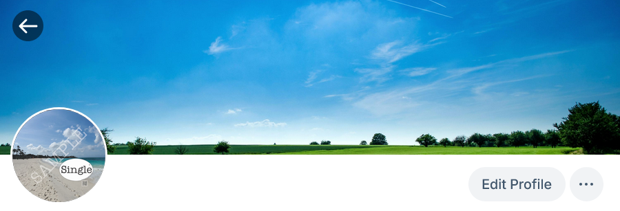 Screenshot of profile photo in use