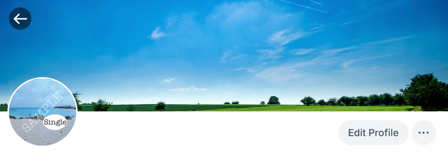 Screenshot of profile photo in use