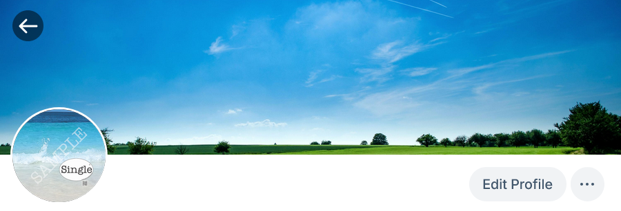 Screenshot of profile photo in use