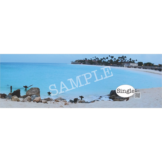 Beach Morning Walk banner/cover photo with “Single®” Logo overlay “.