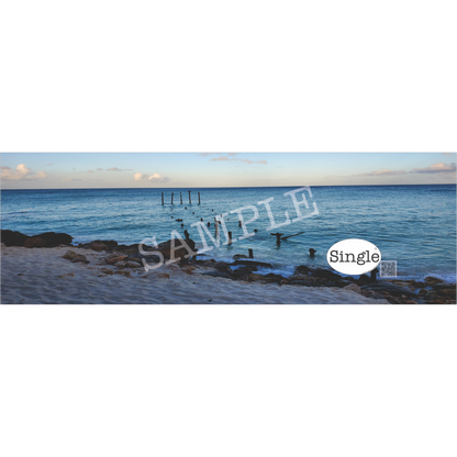 Beach Sunrise banner/cover photo with “Single®” Logo overlay “.