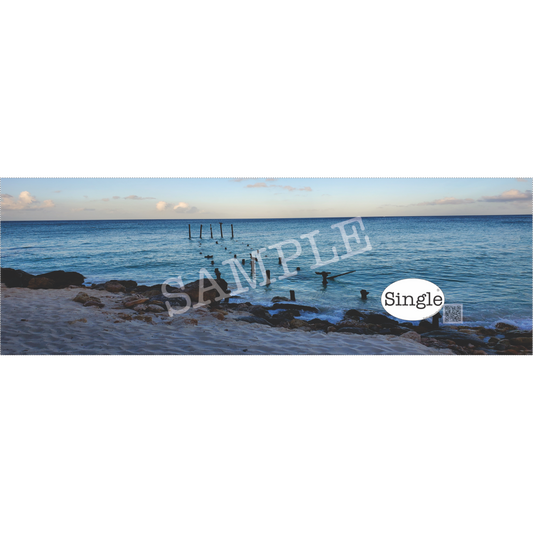 Beach Sunrise banner/cover photo with “Single®” Logo overlay “.